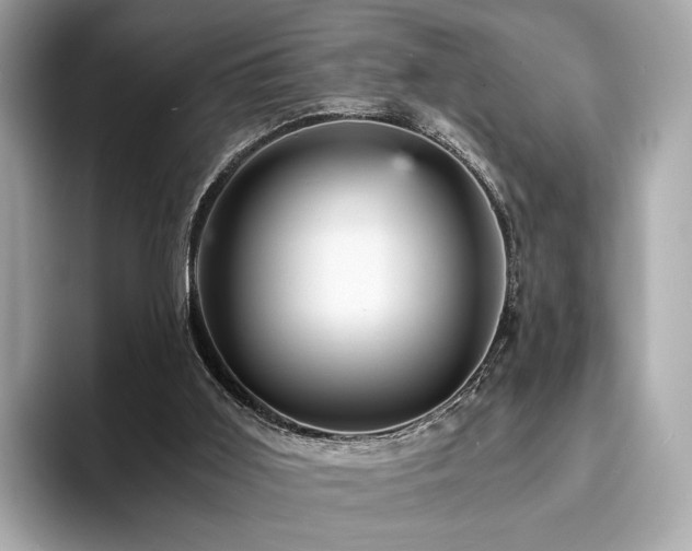 X0000093730011200710161125