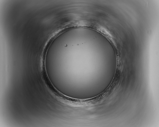 X0000093730012200710161125
