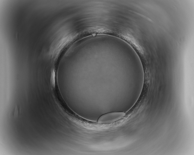 X0000093730014200710161125