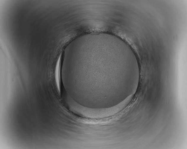 X0000093730017200710161125