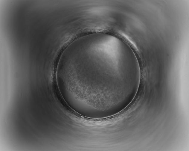 X0000093730018200710161125