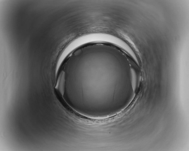 X0000093730019200710161125