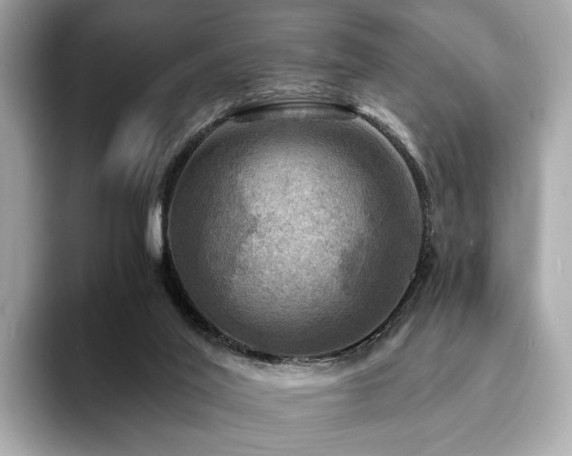 X0000093730020200710161125