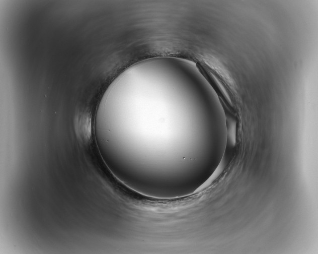 X0000093730021200710161125