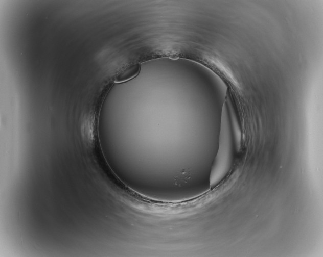 X0000093730023200710161125