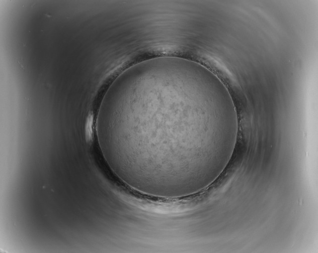 X0000093730024200710161125