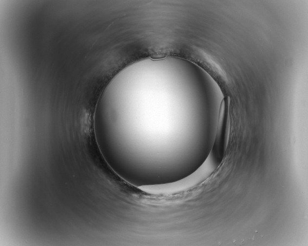 X0000093730025200710161125