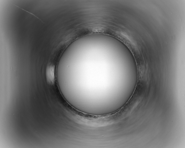 X0000093730028200710161125
