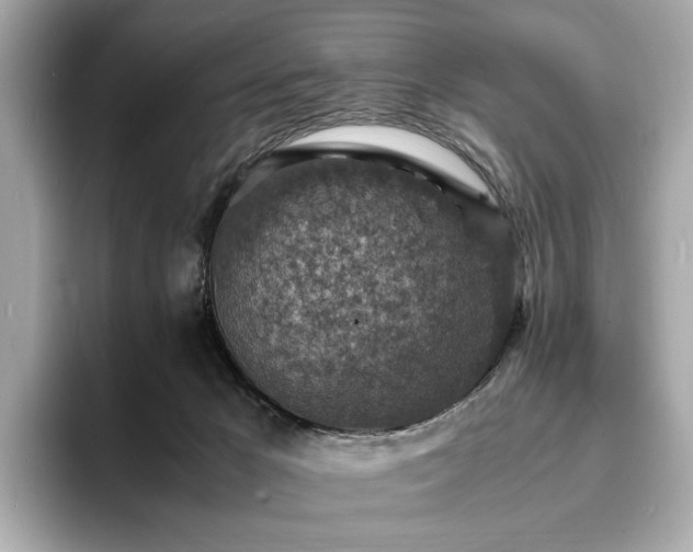 X0000093730029200710161125