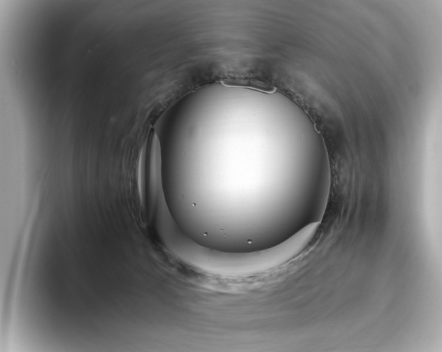X0000093730033200710161125
