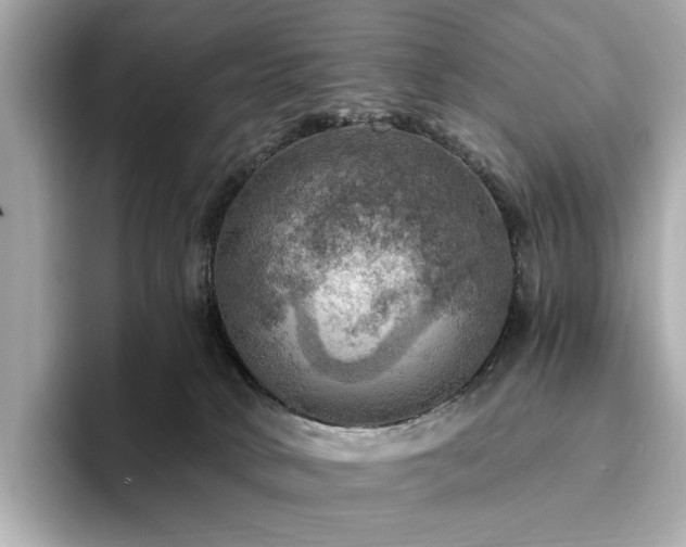 X0000093730034200710161125