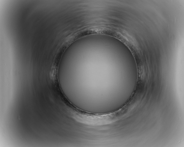 X0000093730036200710161125