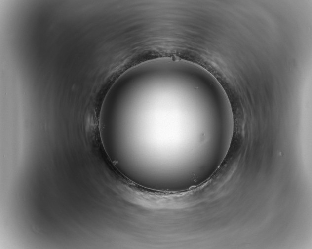 X0000093730040200710161125