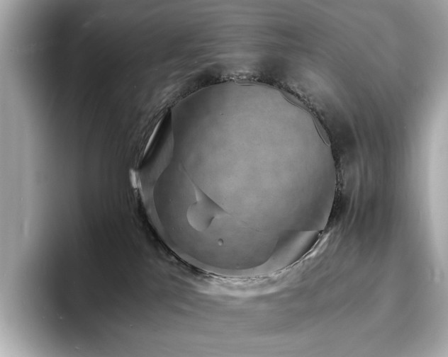 X0000093730041200710161125