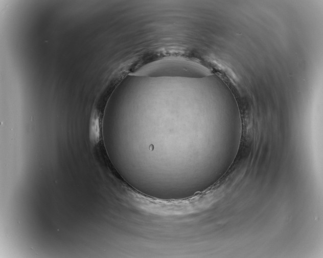X0000093730042200710161125