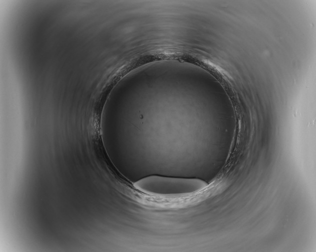 X0000093730048200710161125