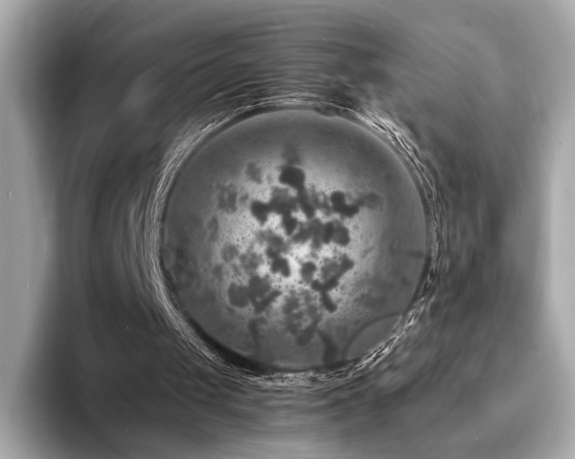 X0000093730049200710161124