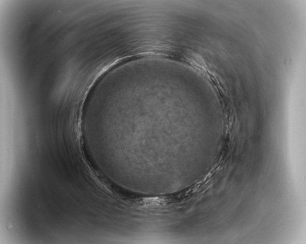 X0000093730050200710161124