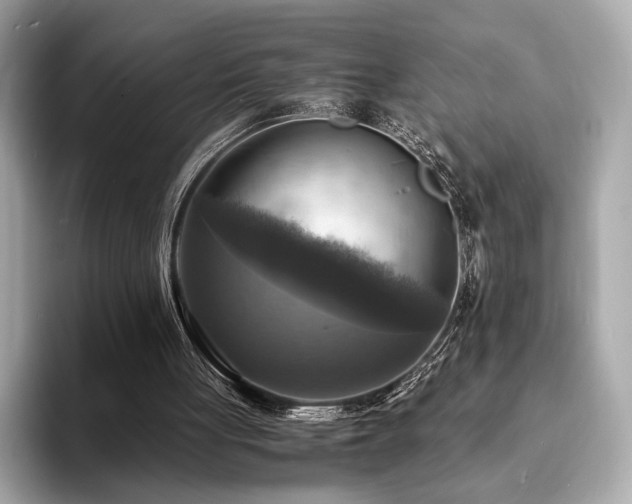 X0000093730051200710161124