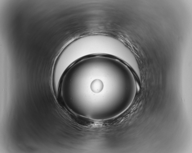 X0000093730052200710161124