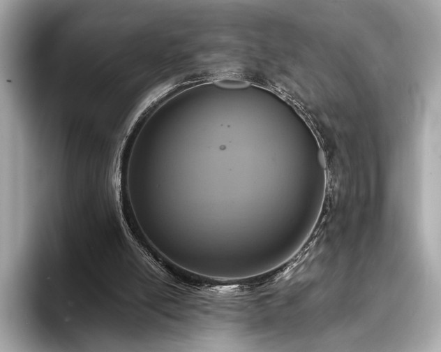 X0000093730054200710161124