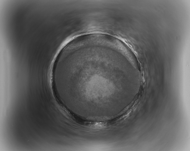 X0000093730056200710161124