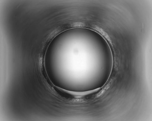 X0000093730057200710161124