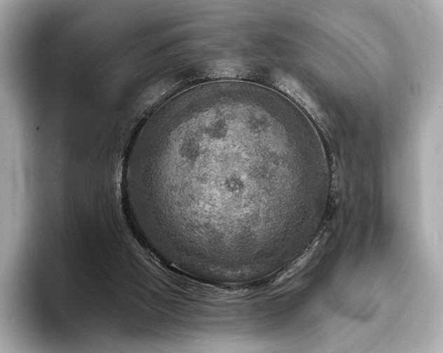 X0000093730058200710161124