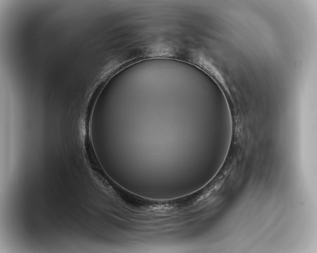 X0000093730059200710161124
