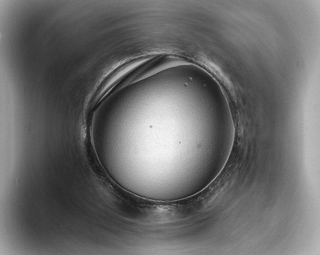 X0000093730060200710161124