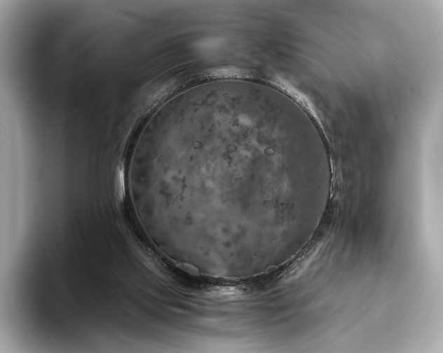 X0000093730061200710161124
