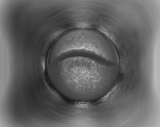 X0000093730062200710161124