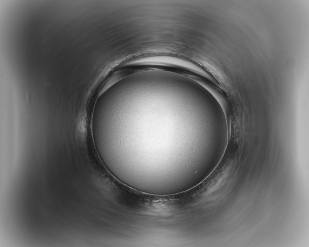 X0000093730064200710161124