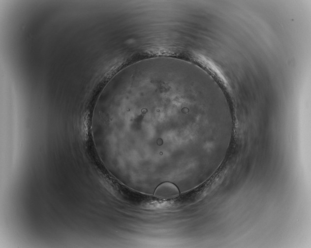 X0000093730065200710161124