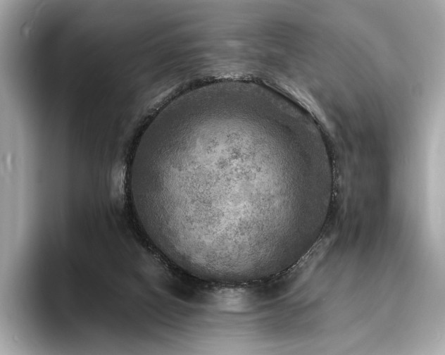 X0000093730066200710161124