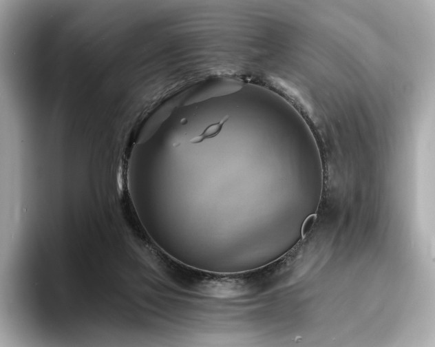 X0000093730069200710161124