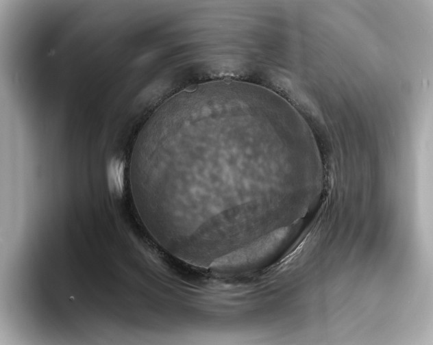X0000093730070200710161124