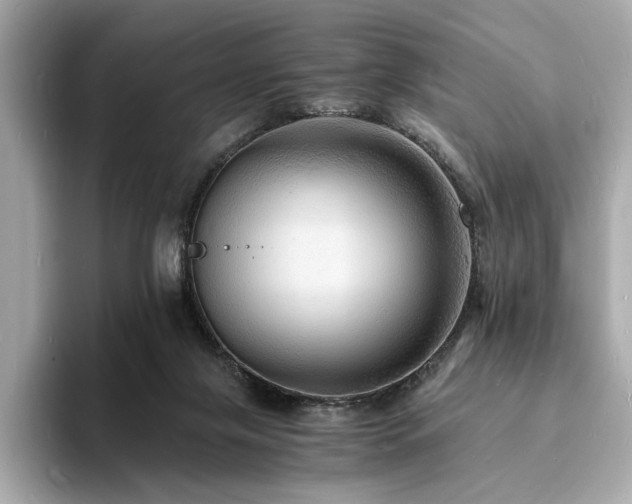 X0000093730071200710161124