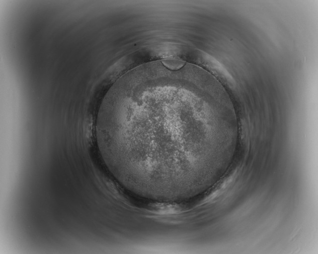 X0000093730073200710161124
