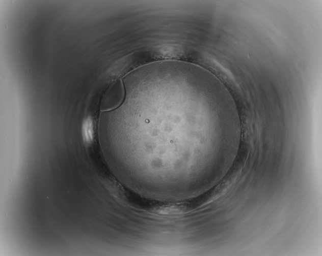 X0000093730075200710161124