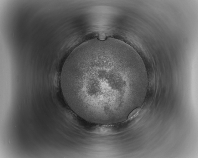 X0000093730078200710161124