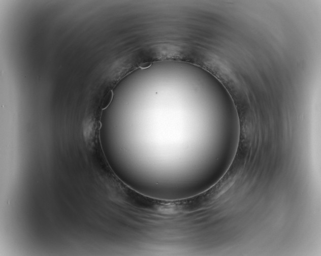 X0000093730079200710161124