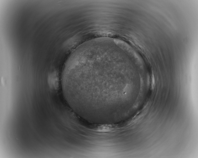 X0000093730080200710161124