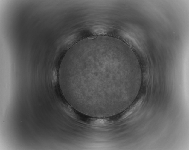 X0000093730081200710161124