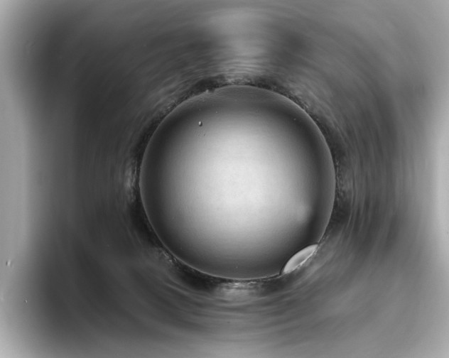 X0000093730082200710161124