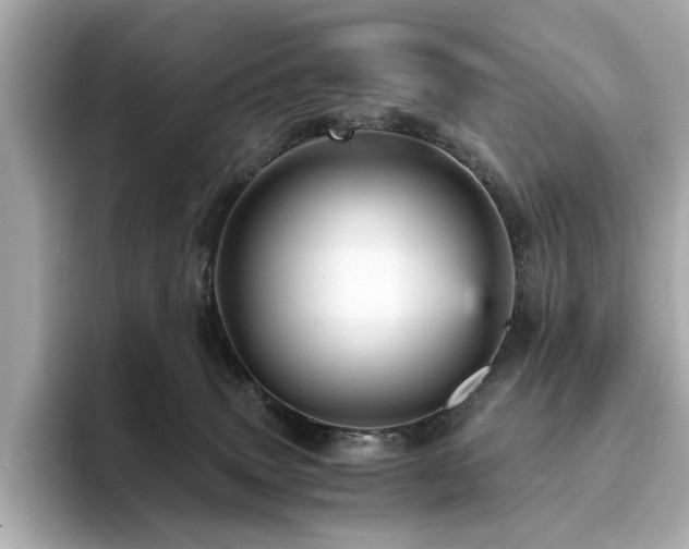 X0000093730083200710161124