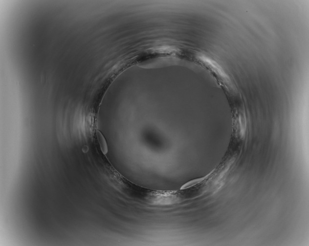 X0000093730093200710161125