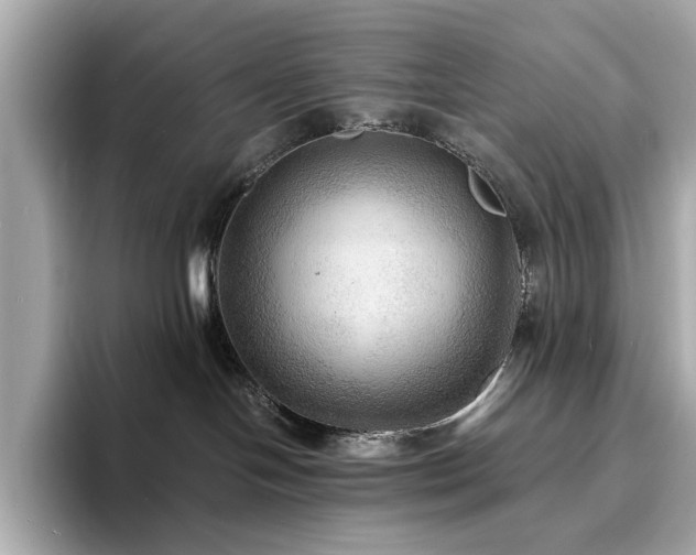 X0000093730094200710161125