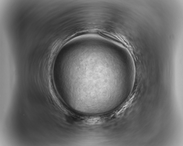 X0000093730097200710161124