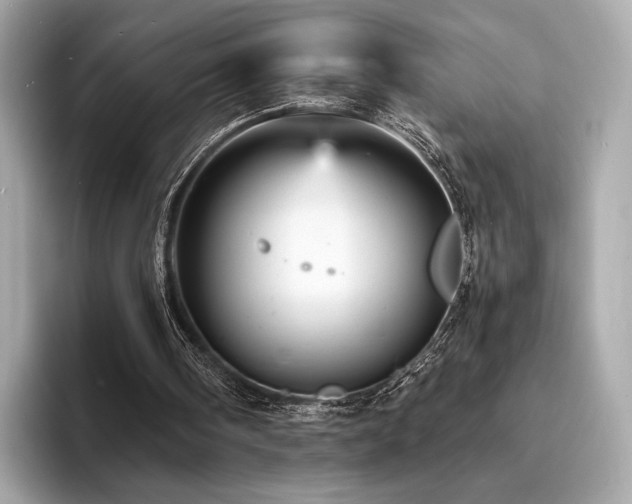 X0000093730098200710161124
